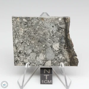 NWA 6694 Eucrite-pmict Meteorite 25.2g