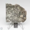 NWA 6694 Eucrite-pmict Meteorite 20.2g
