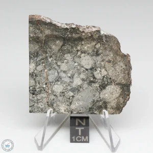 NWA 6694 Eucrite-pmict Meteorite 20.9g