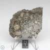 NWA 6694 Eucrite-pmict Meteorite 19.9g