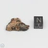 NWA 7454 Meteorite 3.1g End Cut