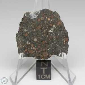 NWA 7678 Meteorite 4.6g