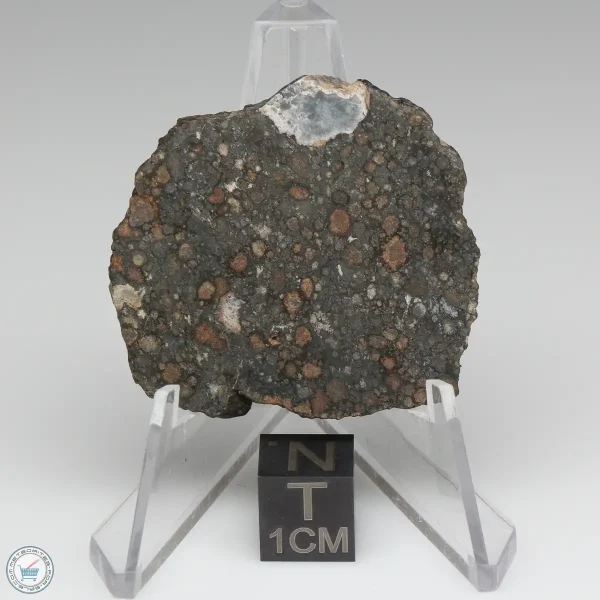NWA 7678 Meteorite 7.6g