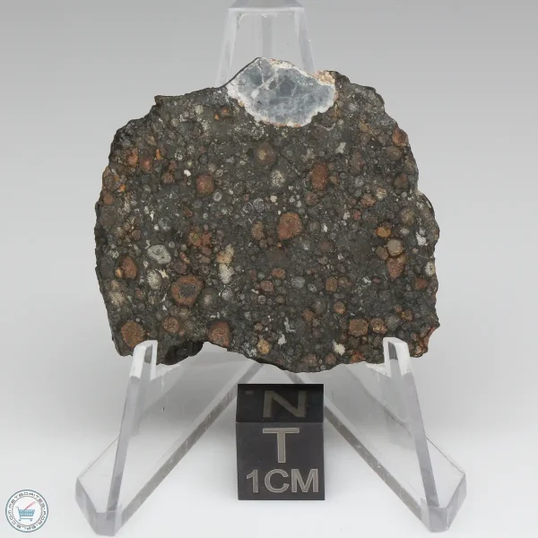 NWA 7678 Meteorite 6.6g