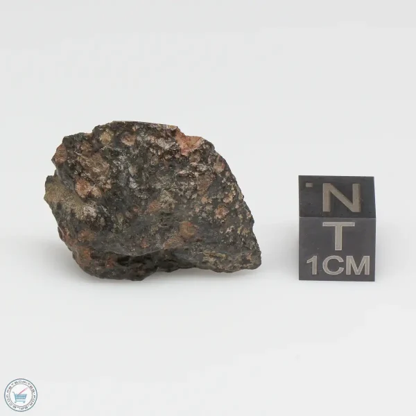 NWA 7678 Meteorite 7.4g End Cut