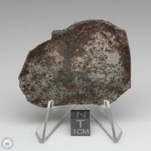 NWA 791 Meteorite 17.6g