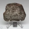 NWA 791 Meteorite 28.9g