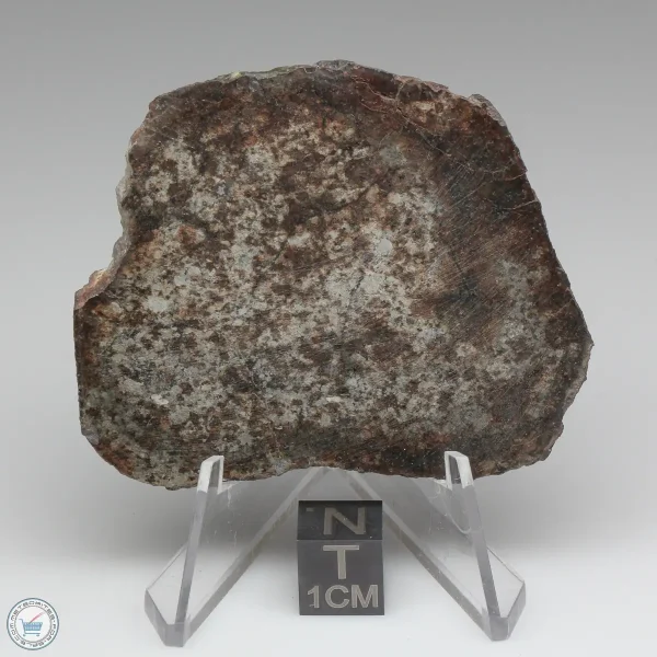 NWA 791 Meteorite 28.9g