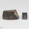 NWA 791 Meteorite 10.4g Part End Cut