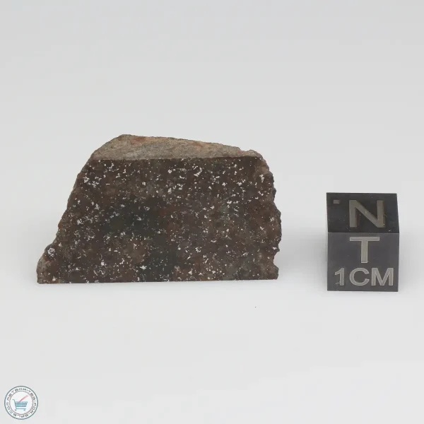 NWA 791 Meteorite 10.4g Part End Cut