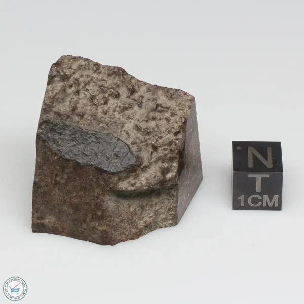 NWA 791 Meteorite 41.4g Part End Cut