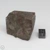 NWA 791 Meteorite 65.9g Part End Cut
