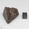 NWA 791 Meteorite 46.2g End Cut