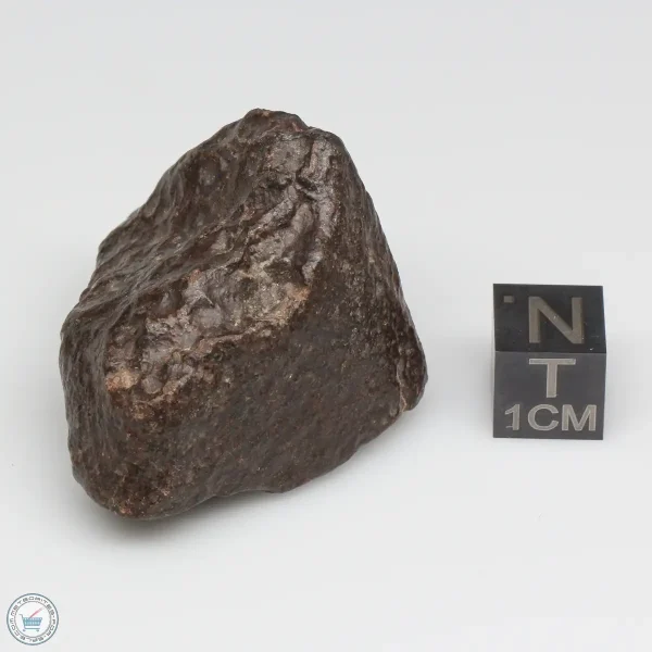 NWA 791 Meteorite 46.2g End Cut