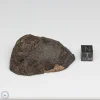 NWA 791 Meteorite 82.7g End Cut