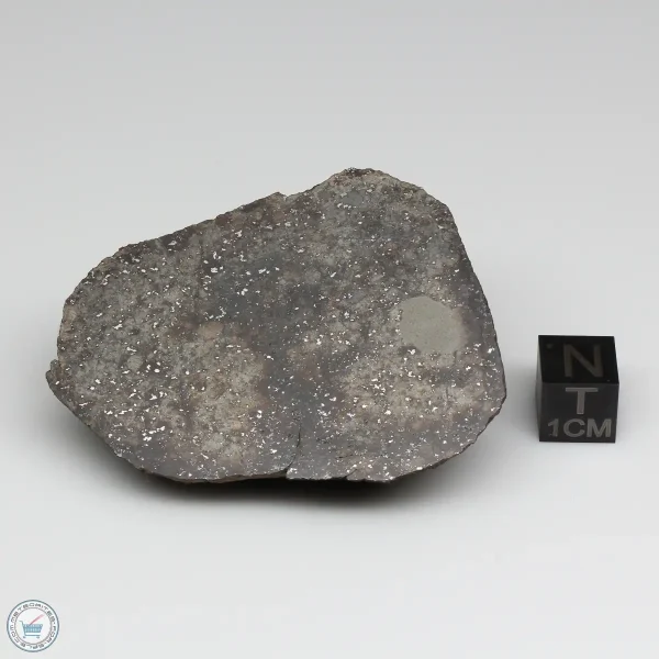 NWA 791 Meteorite 82.7g End Cut
