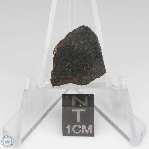 NWA 8008 Meteorite 1.5g