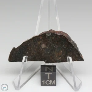 NWA 8008 Meteorite 7.7g