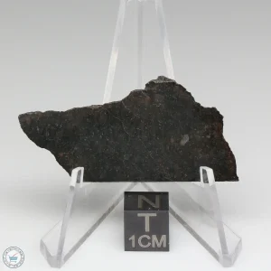 NWA 8008 Meteorite 5.4g
