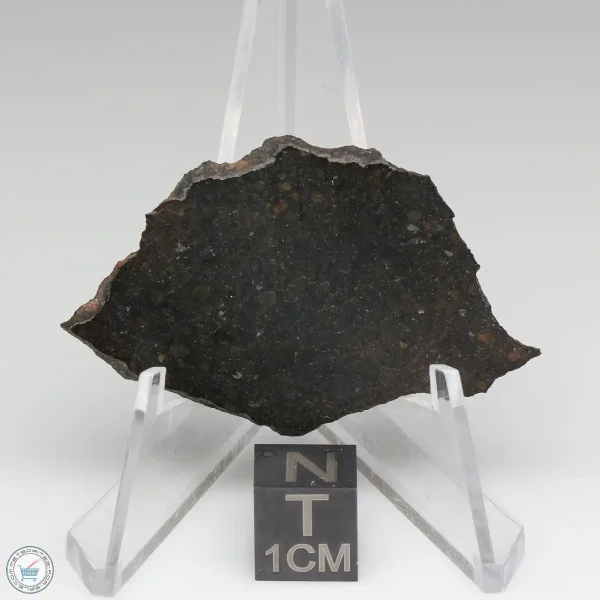 NWA 8008 Meteorite 4.1g