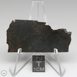 NWA 8008 Meteorite 7.8g