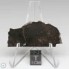 NWA 8008 Meteorite 10.3g