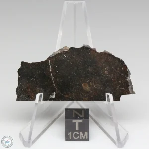 NWA 8008 Meteorite 10.3g