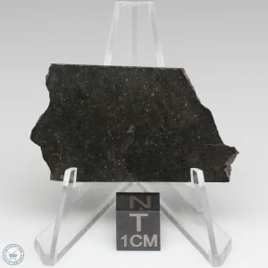 NWA 8008 Meteorite 10.0g