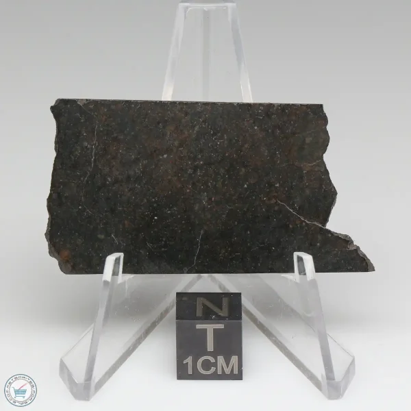 NWA 8008 Meteorite 9.4g