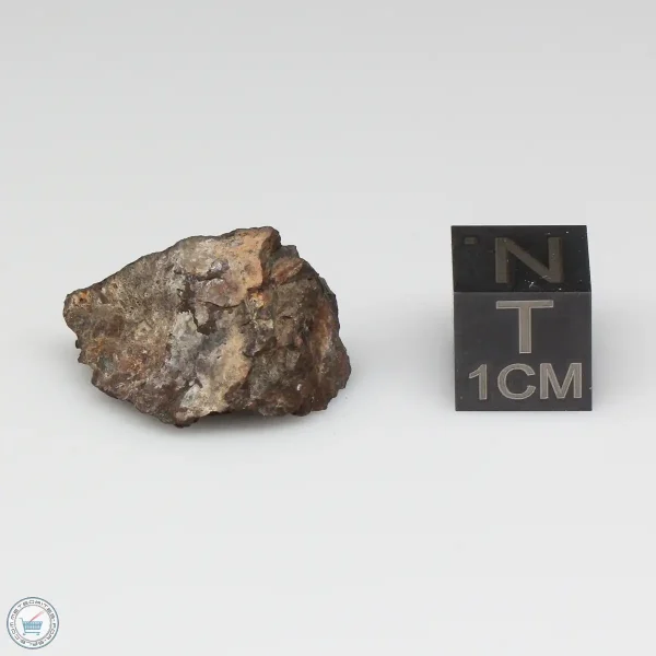 NWA 8008 Meteorite 3.5g End Cut
