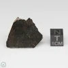 NWA 8008 Meteorite 9.8g Part End Cut