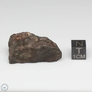 NWA 8008 Meteorite 19.1g Part End Cut