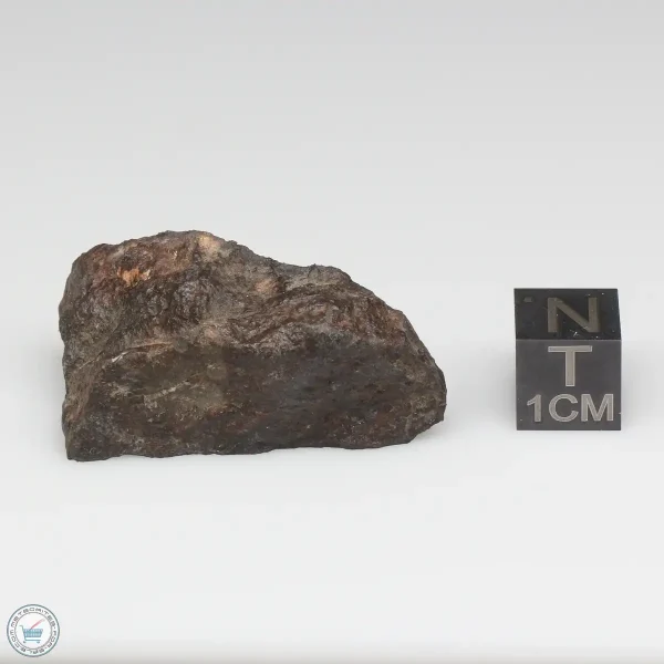 NWA 8008 Meteorite 19.1g Part End Cut