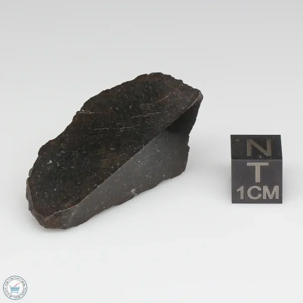 NWA 8008 Meteorite 19.1g Part End Cut