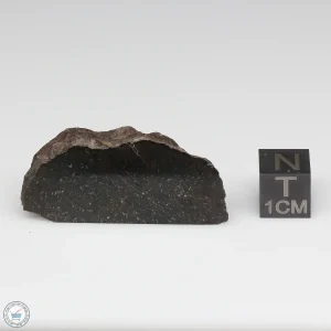 NWA 8008 Meteorite 19.1g Part End Cut