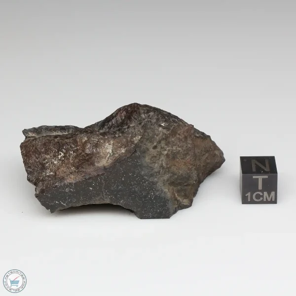 NWA 8008 Meteorite 76.8g Part End Cut