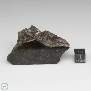 NWA 8008 Meteorite 76.8g Part End Cut