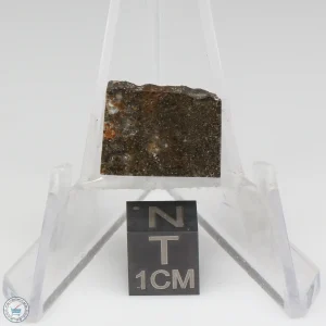 NWA 8743 Meteorite 1.3g