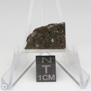 NWA 8743 Meteorite 1.4g