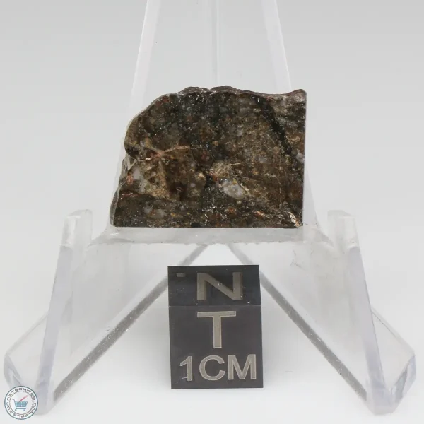 NWA 8743 Meteorite 1.9g