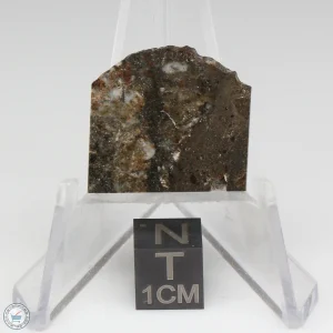 NWA 8743 Meteorite 2.9g