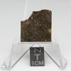 NWA 8743 Meteorite 2.8g