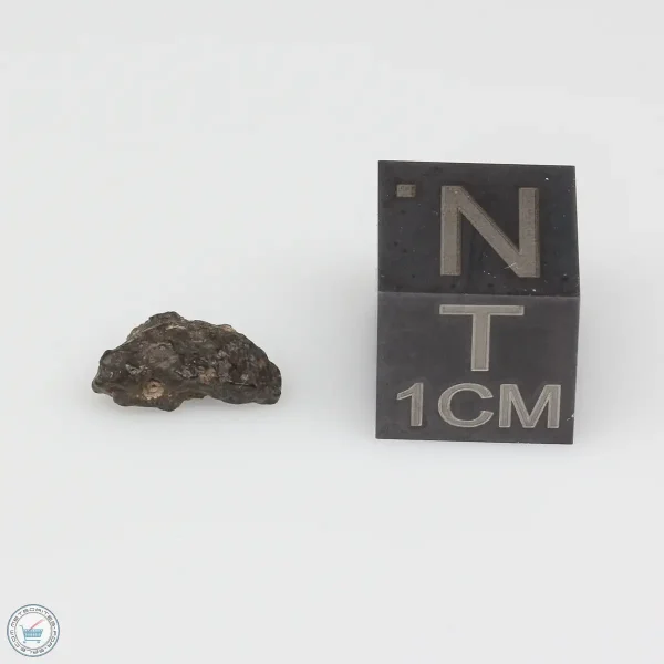 Abadla 002 Meteorite 0.19g