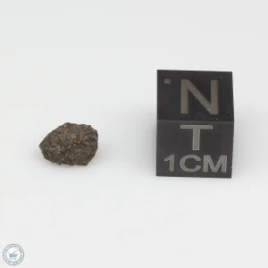 Abadla 002 Meteorite 0.20g