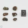 Admire Pallasite Meteorite Nugget Assortment 4.3g