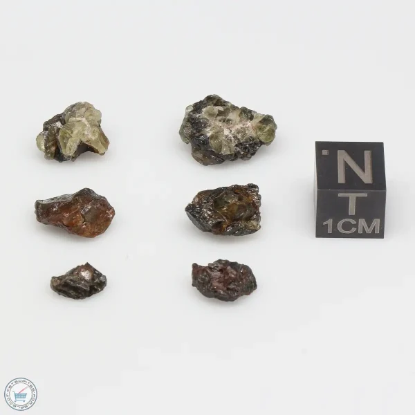 Admire Pallasite Meteorite Nugget Assortment 4.4g