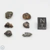 Admire Pallasite Meteorite Nugget Assortment 3.5g
