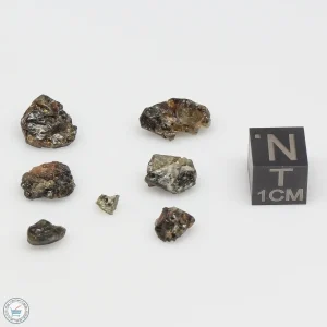 Admire Pallasite Meteorite Nugget Assortment 3.2g