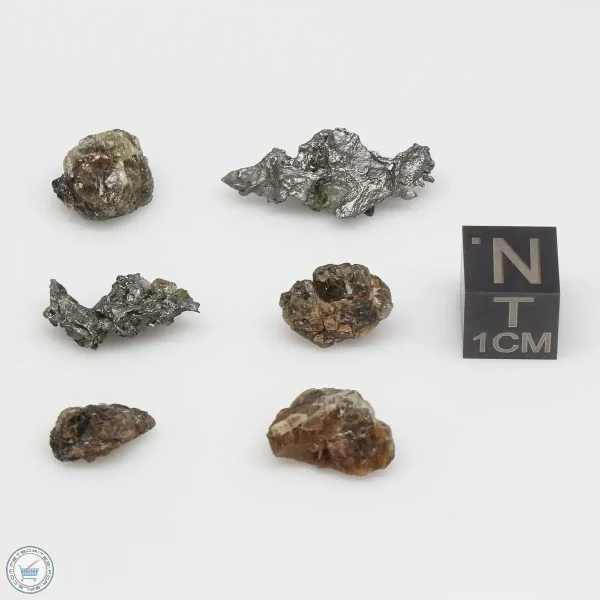 Admire Pallasite Meteorite Nugget Assortment 7.2g