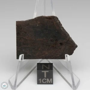 Dhofar 020 Meteorite 7.6g